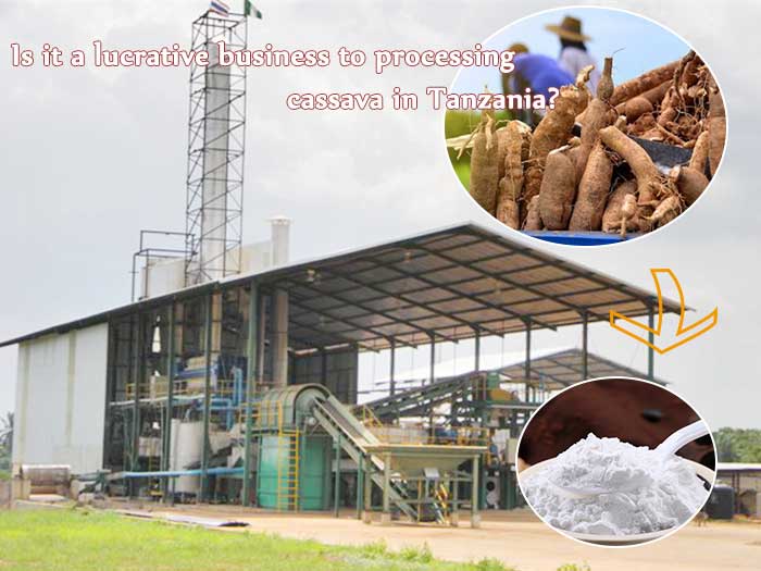  Is it a lucrative business to processing cassava in Tanzania?