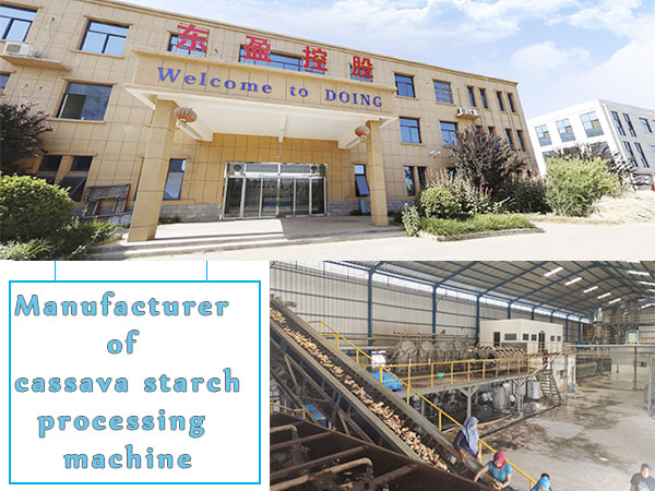 How to choose manufacturer of cassava starch processing machine ?