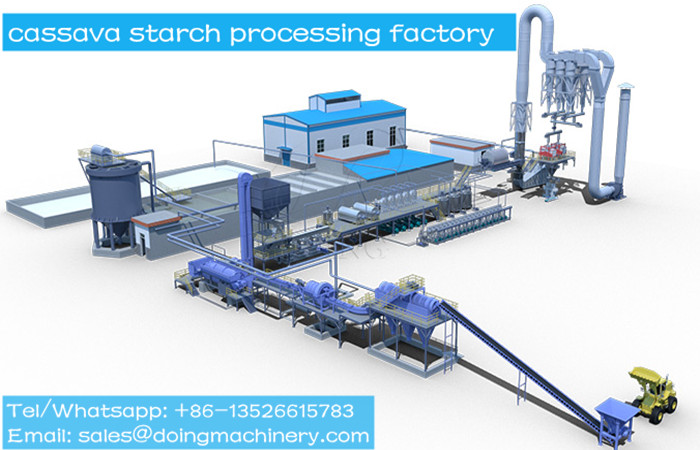 cassava starch processing factory