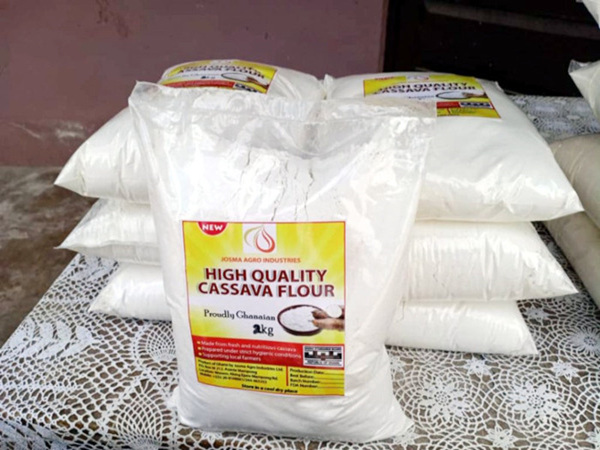 Can I make a profit from a cassava flour processing business in Nigeria?