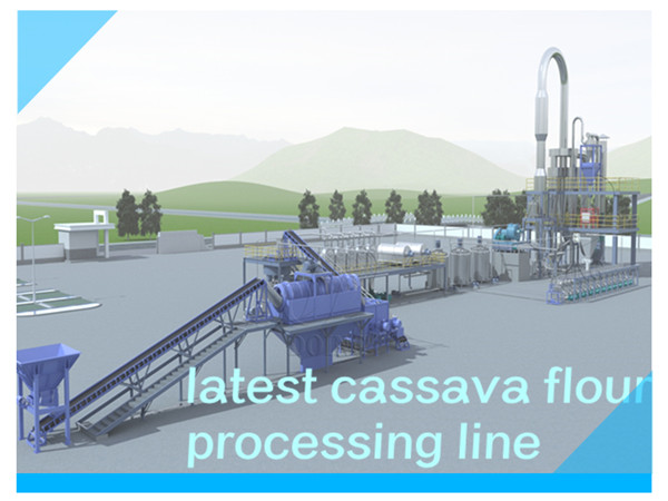 The new design cassava flour 3D video