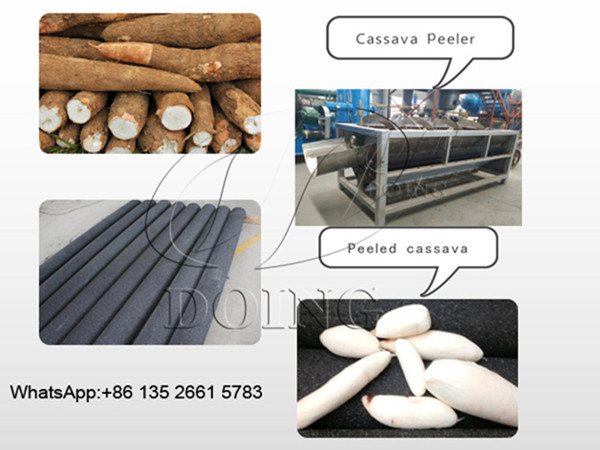 How to peel cassava roots? Which machine is best?