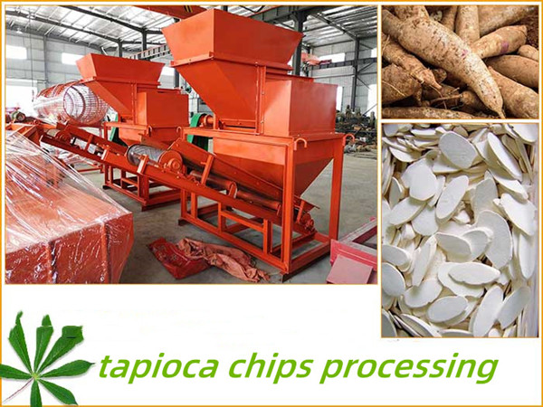 What do you need to know in advance before processing tapioca chips?