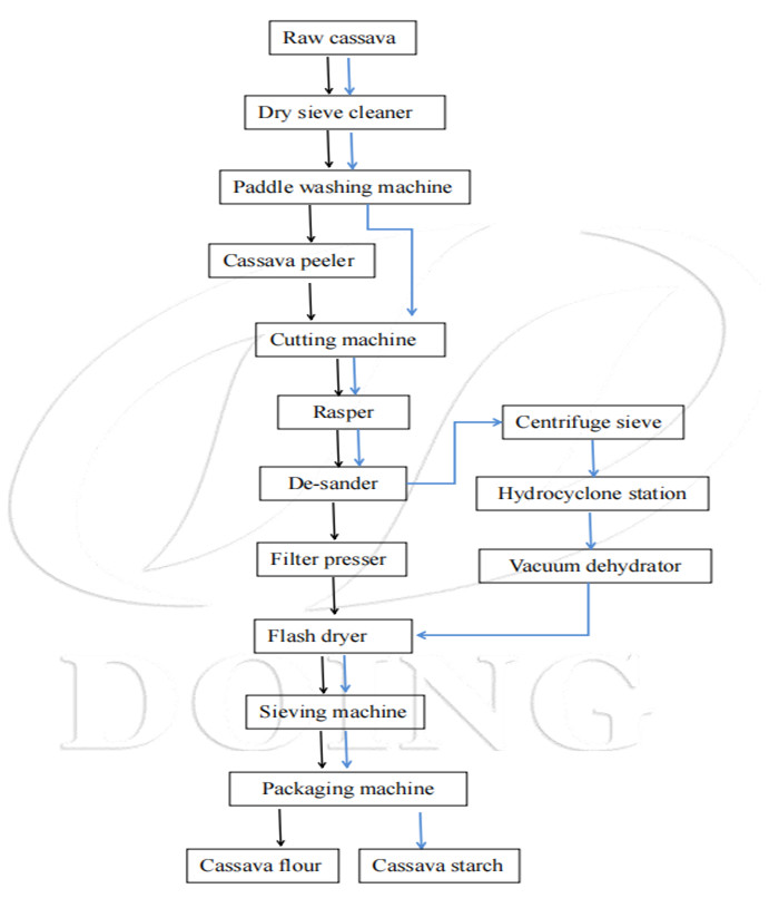 how to process cassava flour and cassava starch