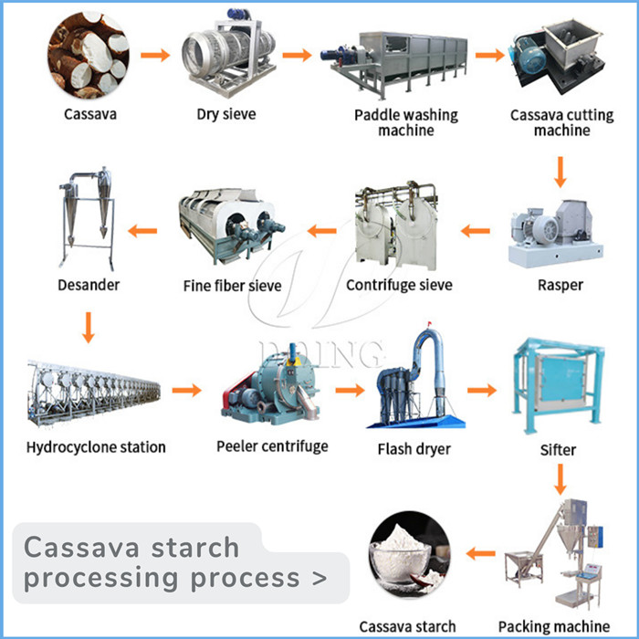 cassava starch processing process