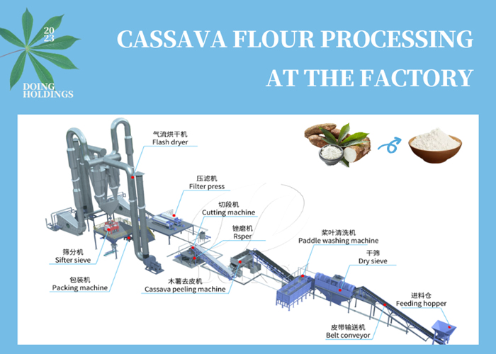 cassava flour processing at the factory