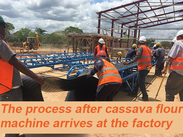 The process after the cassava flour machine arrives at the factory