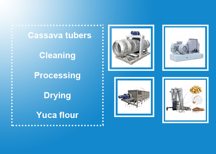 yuca flour processing equipment