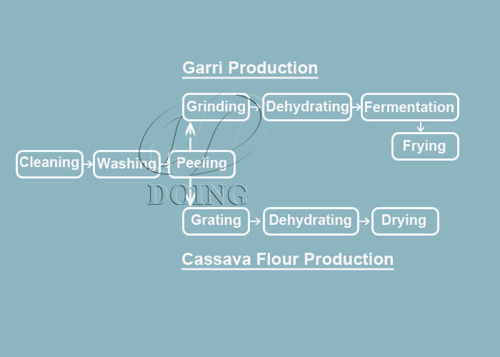 garri and cassava flour processing flow