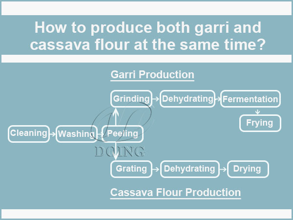 How to produce both garri and cassava flour at the same time?