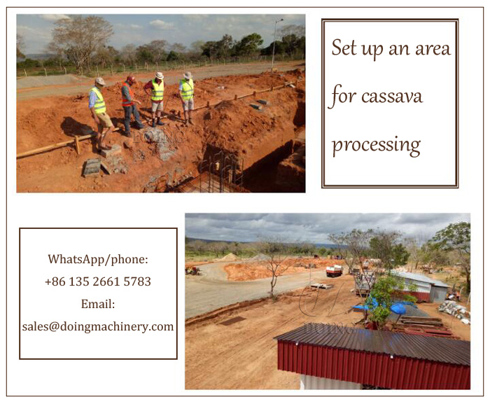 Cassava processing plant