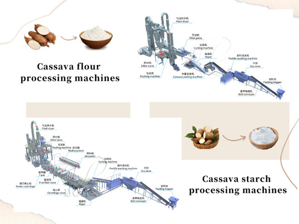 Flow chart for cassava processing