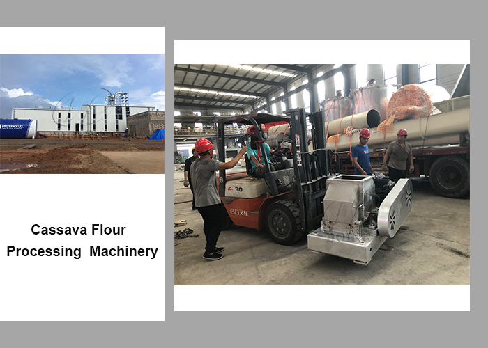 cassava flour making machinery in our factory