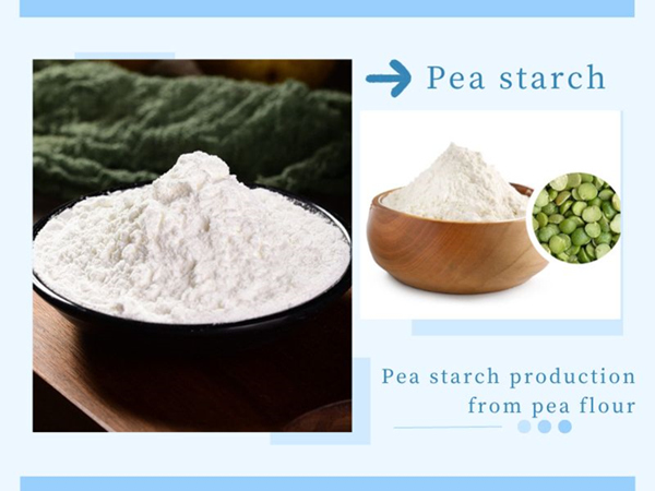 Pea starch processing machine