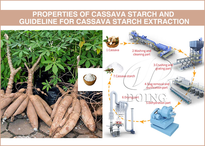 properties of cassava starch and guideline for cassava starch extraction