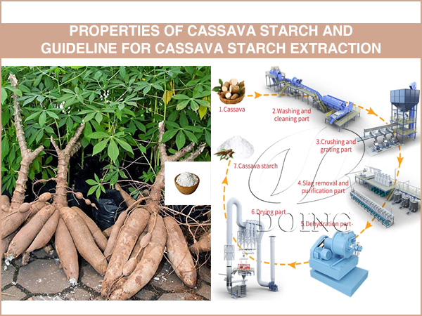 Properties of cassava starch and guideline for cassava starch extraction