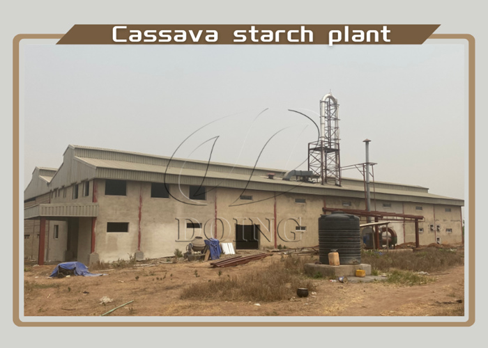 cassava starch plant