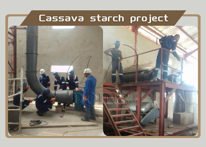 cassava starch project