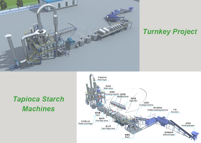 cassava starch processing