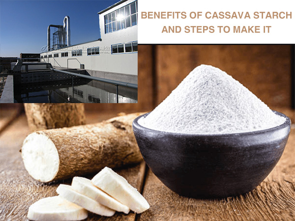 Benefits of resistant cassava starch and Steps to make cassava starch