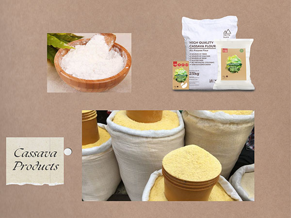 The Economic Importance of Cassava Processing
