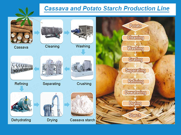What are the benefits of installing a fine fiber sieve in cassava starch production line compared with potato starch production line?