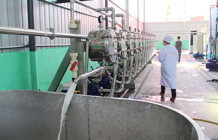 cassava starch processing