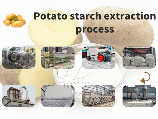 What is the Price of a Minimum Potato Starch Processing Line? Which Machines are Necessary?
