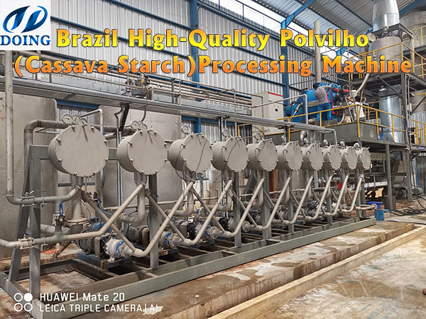 Cassava Processing Machinery for High-Quality Polvilho in Brazil
