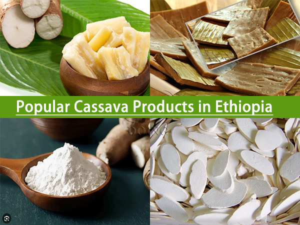 Which cassava products are popular in Ethiopia?