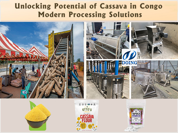 Unlocking the Potential of Cassava in Congo: Modern Processing Solutions