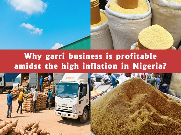 Unlocking Profit: Assessing the Investment Opportunity in Nigerian Garri Processing