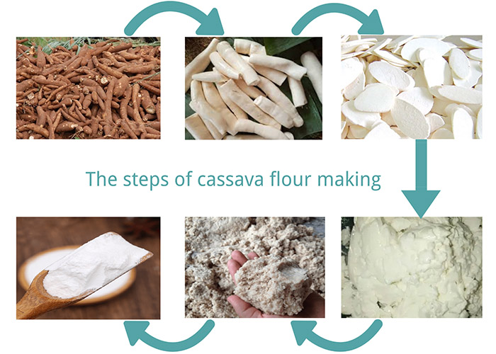cassava flour making steps