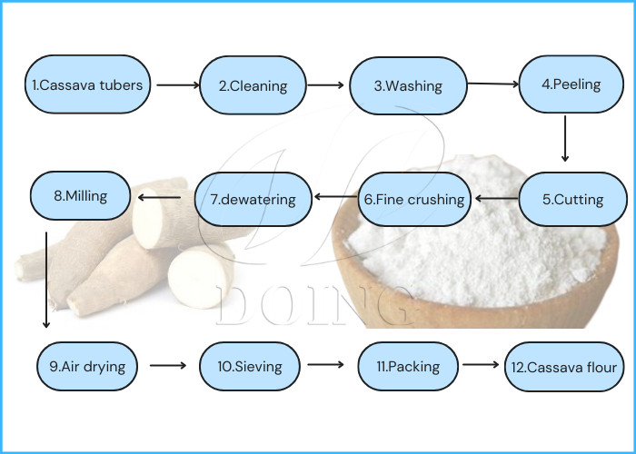cassava flour production process