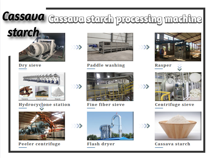 manufacturing plant of starch