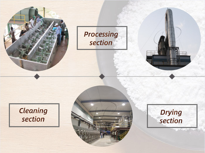 What is the process for cassava processing into starch?