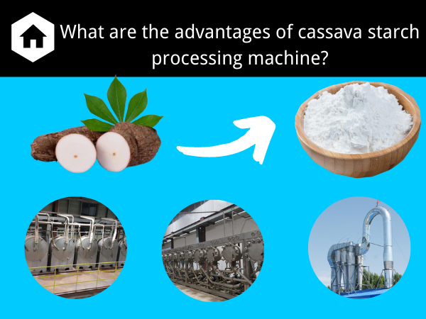 What are the advantages of cassava starch processing equipment?
