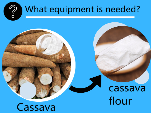 What equipment is needed to produce cassava flour?