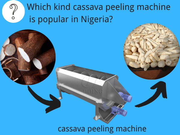 Which kind of cassava peeling machine is popular in Nigeria?