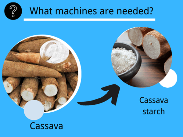 How to choose cassava starch drying method? Native drying or Mechanical drying?