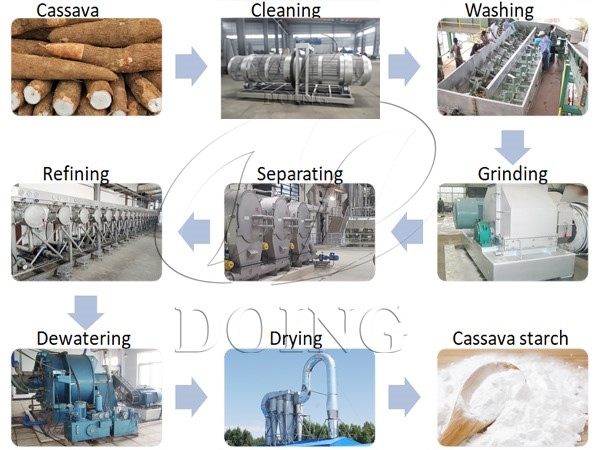 What are the machines used in cleaning section of cassava starch processing plant?What is their function?