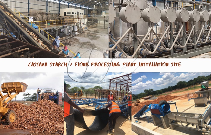 cassava starch processing plant 