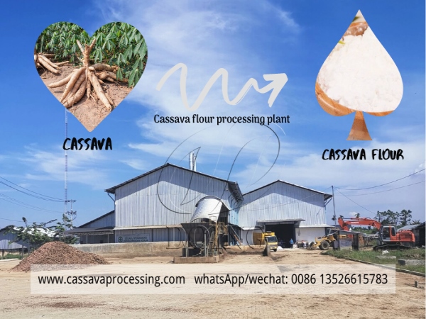 What are the three main reasons why investors choose to invest in cassava flour processing industry?