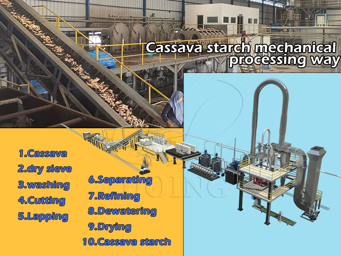 cassava starch machanical processing way