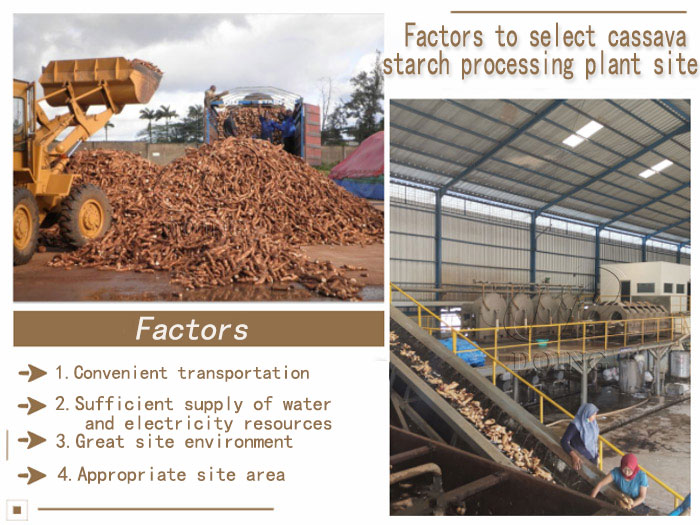 What factors should be considered when selecting cassava starch processing plant site?