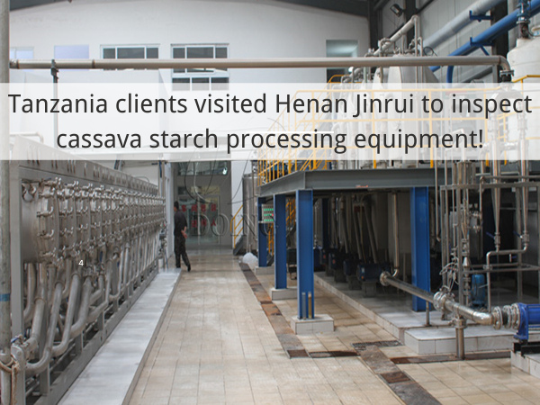Tanzania clients visited Henan Jinrui to inspect cassava starch processing equipment!