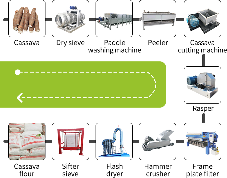 Cassava flour processing machine Process