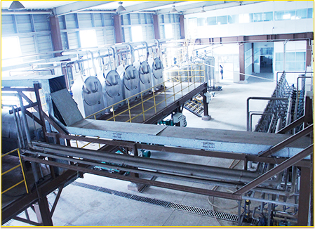Cassava Starch Project Case