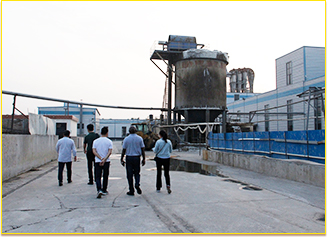 Cassava Starch Project Case