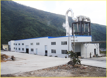 Cassava Starch Project Case